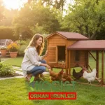 Ahşap Tavuk Kümesi Lüks – detay görünüm (4) | Koçist