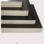 Plywood (Playwood), 5. görünüm